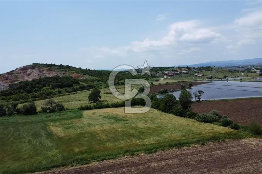 SAVAŞTEPE KÖYÜ YATIRIMLIK FIRSAT TARLA