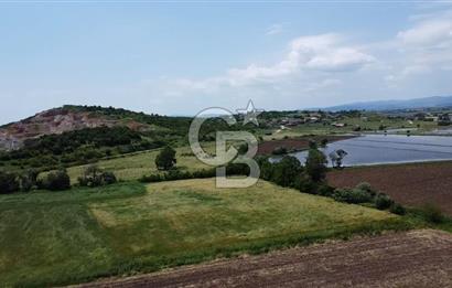 SAVAŞTEPE KÖYÜ YATIRIMLIK FIRSAT TARLA