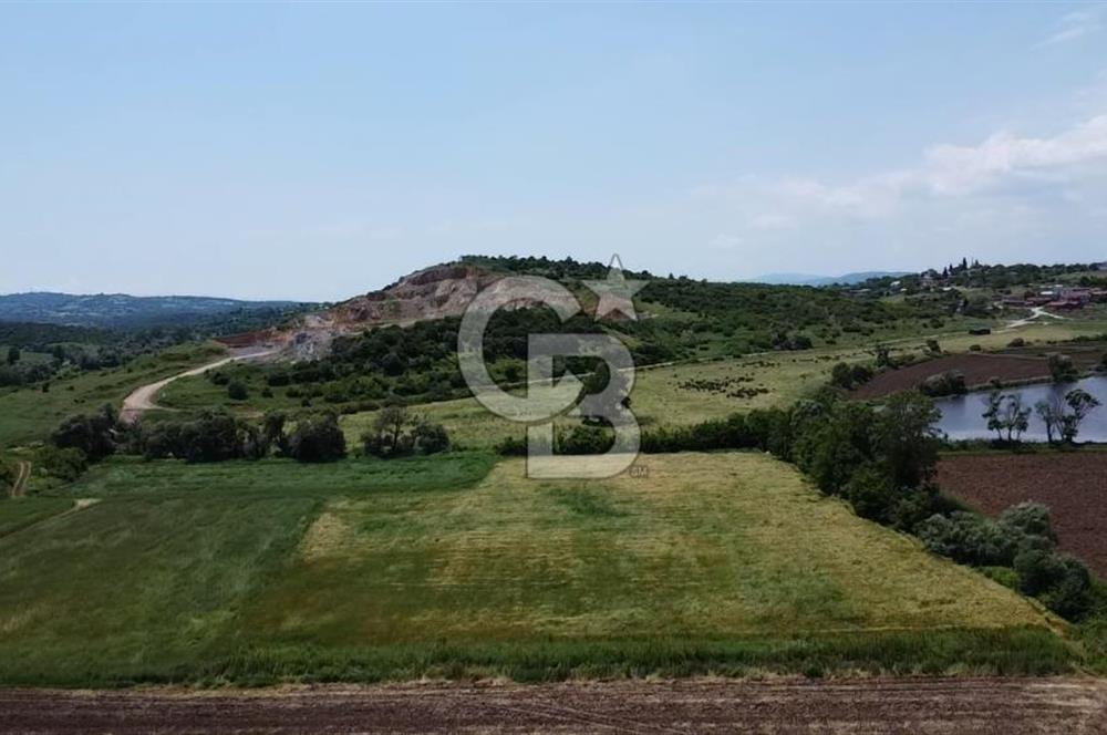 SAVAŞTEPE KÖYÜ YATIRIMLIK FIRSAT TARLA