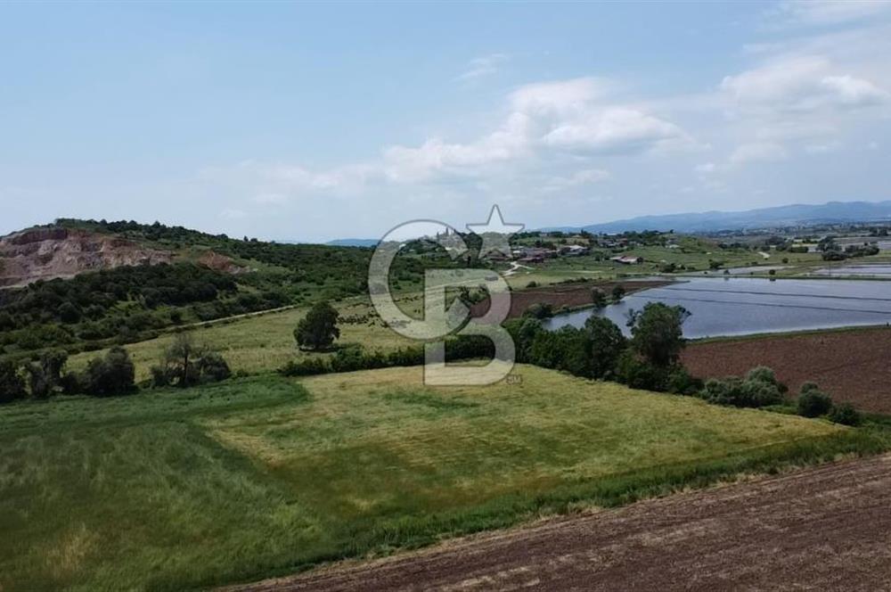 SAVAŞTEPE KÖYÜ YATIRIMLIK FIRSAT TARLA