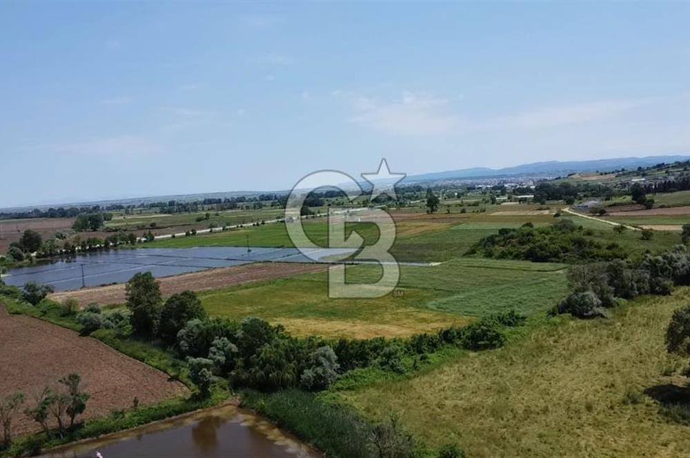 SAVAŞTEPE KÖYÜ YATIRIMLIK FIRSAT TARLA