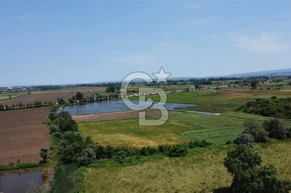 SAVAŞTEPE KÖYÜ YATIRIMLIK FIRSAT TARLA