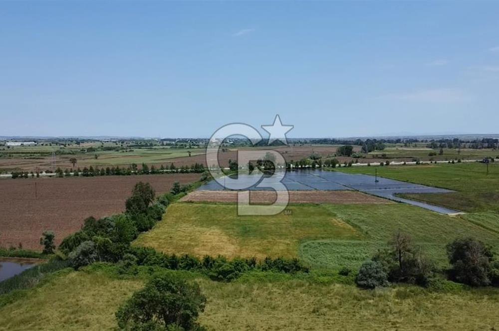 SAVAŞTEPE KÖYÜ YATIRIMLIK FIRSAT TARLA