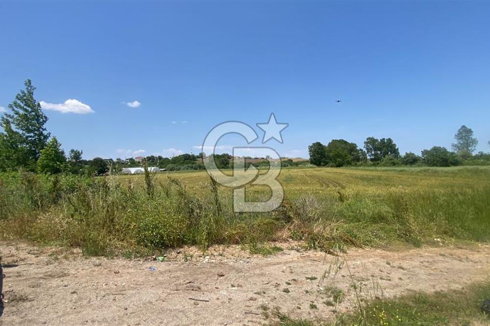 BİGA SAVAŞTEPE KÖTÜ SATILIK 2750 M2 TARLA