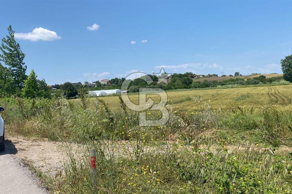 BİGA SAVAŞTEPE KÖTÜ SATILIK 2750 M2 TARLA