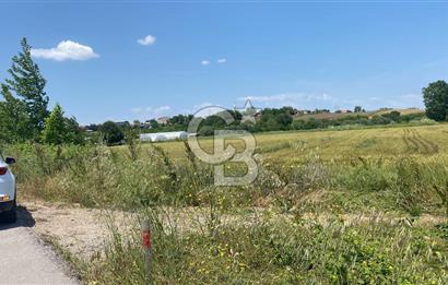 BİGA SAVAŞTEPE KÖTÜ SATILIK 2750 M2 TARLA