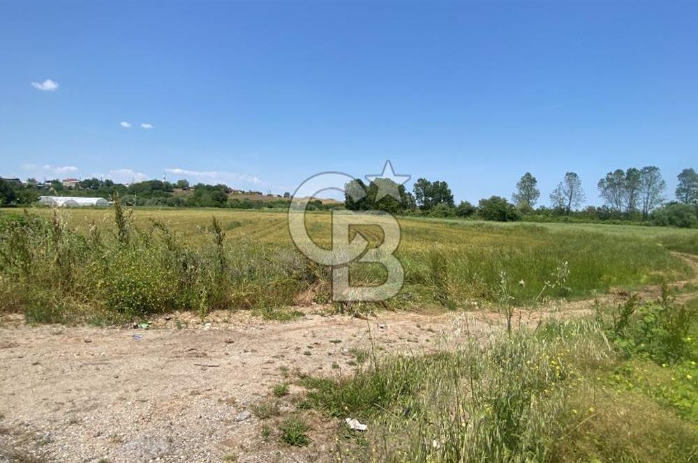 BİGA SAVAŞTEPE KÖTÜ SATILIK 2750 M2 TARLA