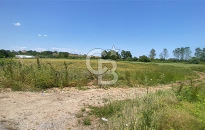 BİGA SAVAŞTEPE KÖTÜ SATILIK 2750 M2 TARLA