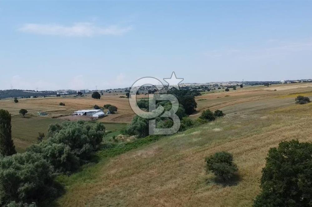 DOĞANCI GELİŞMEKTE OLAN BÖLGEDE YATIRIM FIRSATI SATILIK ARAZİ