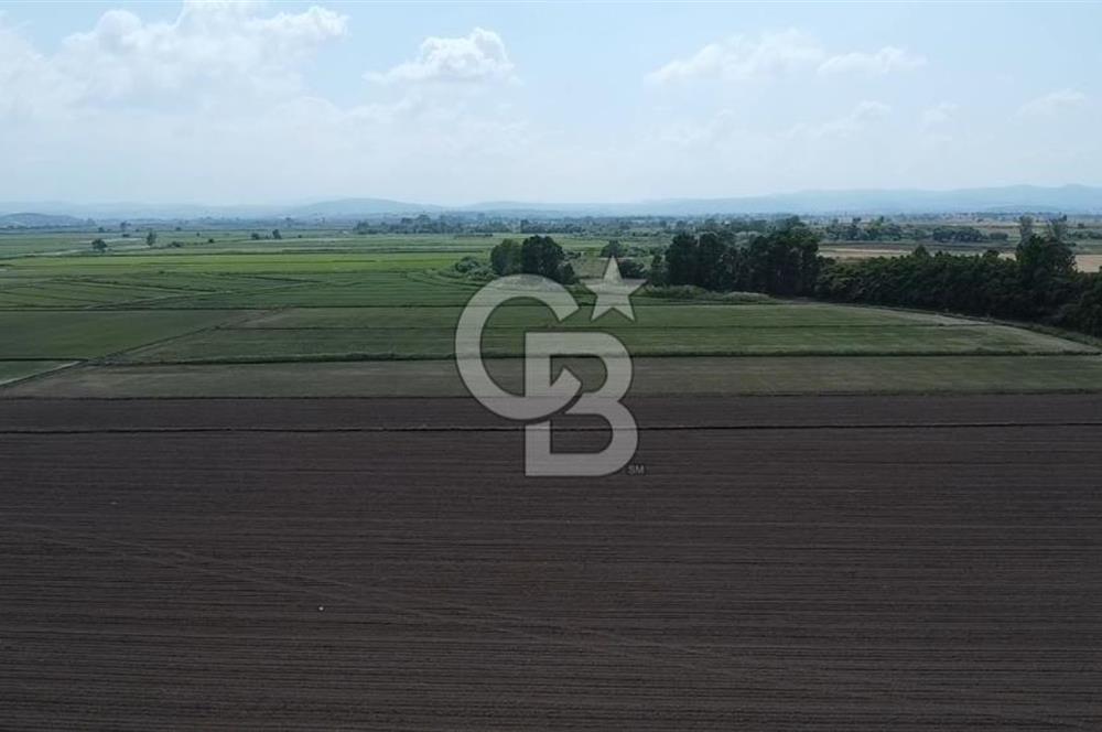SULU TARIM UYGUN BAKIMLI MUHTEŞEM KONUMDA HEMEN ARA