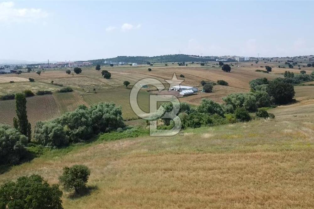 DOĞANCI GELİŞMEKTE OLAN BÖLGEDE YATIRIM FIRSATI SATILIK ARAZİ