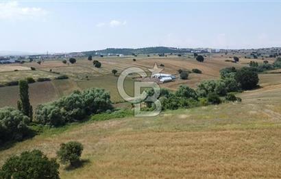 DOĞANCI GELİŞMEKTE OLAN BÖLGEDE YATIRIM FIRSATI SATILIK ARAZİ