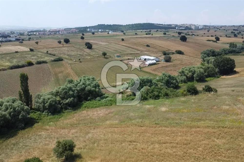 DOĞANCI GELİŞMEKTE OLAN BÖLGEDE YATIRIM FIRSATI SATILIK ARAZİ