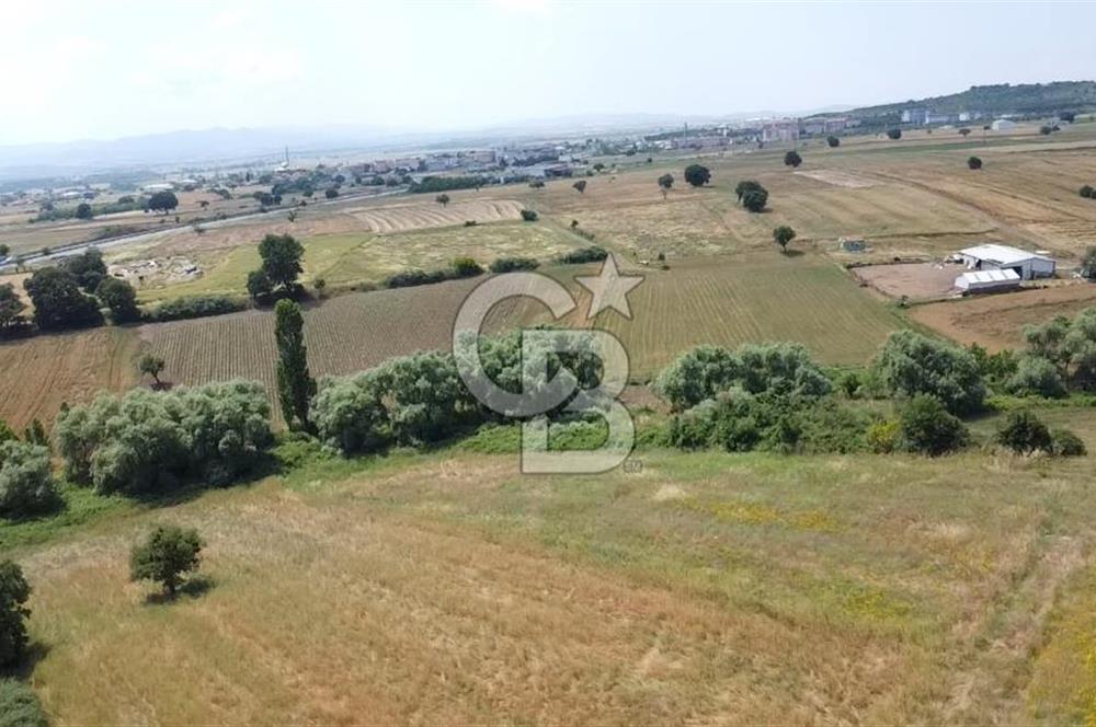 DOĞANCI GELİŞMEKTE OLAN BÖLGEDE YATIRIM FIRSATI SATILIK ARAZİ