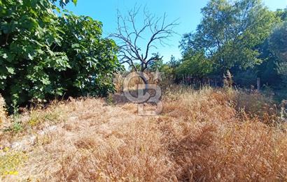 HALİLELİ ÇİFT CEPHE KÖYİÇİ YOLU MUKEMMEL FIRSAT AÇIKLAMAYI OKU