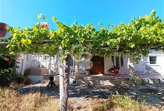 HALİLELİ ÇİFT CEPHE KÖYİÇİ YOLU MUKEMMEL FIRSAT AÇIKLAMAYI OKU - 1 - 358078
