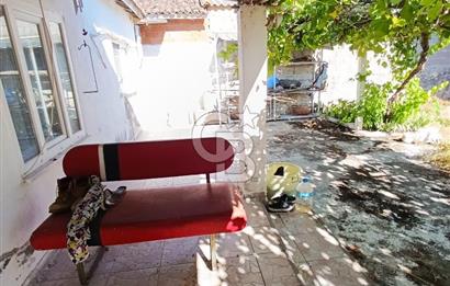 HALİLELİ ÇİFT CEPHE KÖYİÇİ YOLU MUKEMMEL FIRSAT AÇIKLAMAYI OKU