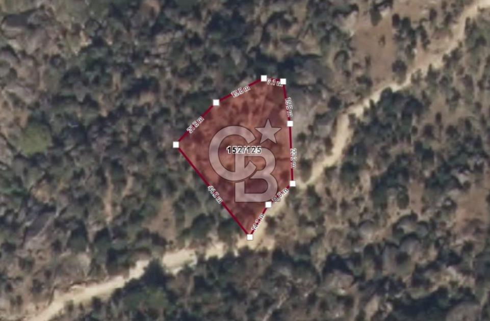 Aydın Karpuzlu 'da Satılık Kadastro Yola Cephe 1.546m² Zeytinlik
