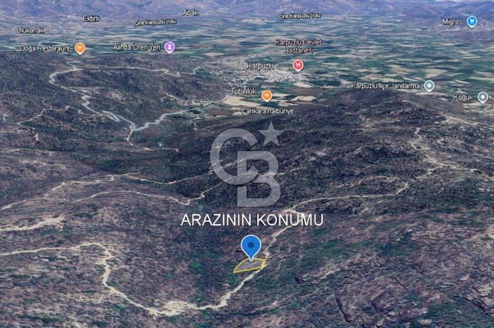 Aydın Karpuzlu 'da Satılık Kadastro Yola Cephe 1.546m² Zeytinlik