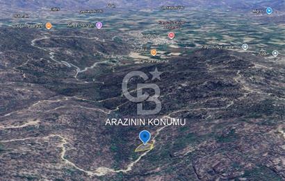 Aydın Karpuzlu 'da Satılık Kadastro Yola Cephe 1.546m² Zeytinlik