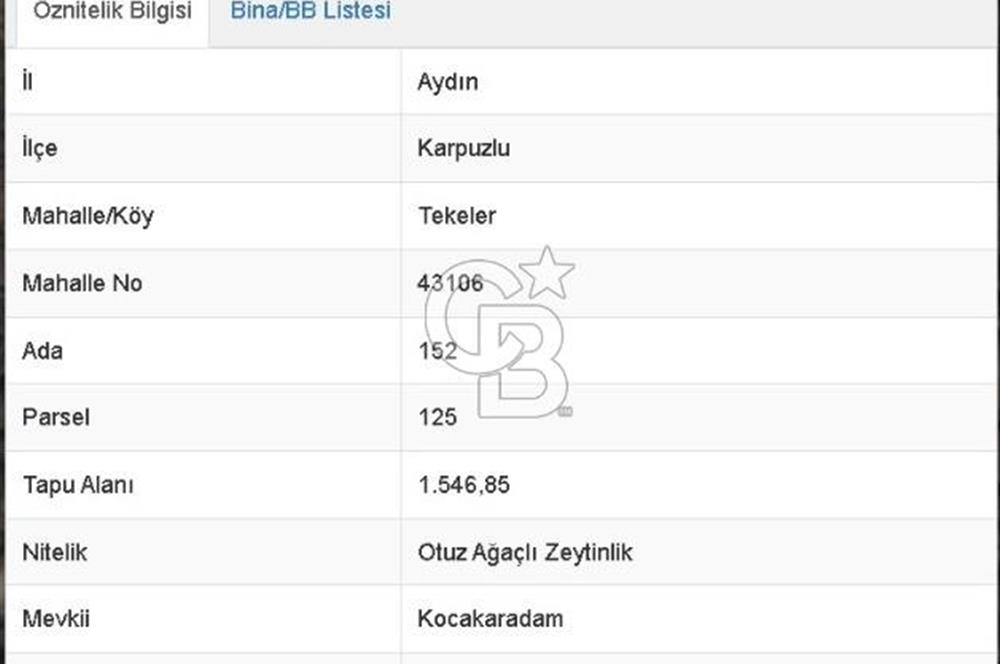 Aydın Karpuzlu 'da Satılık Kadastro Yola Cephe 1.546m² Zeytinlik