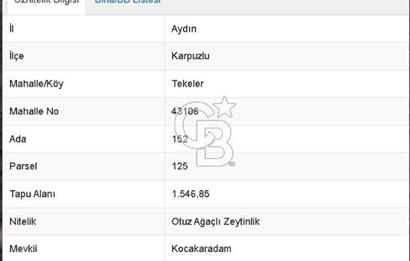 Aydın Karpuzlu 'da Satılık Kadastro Yola Cephe 1.546m² Zeytinlik