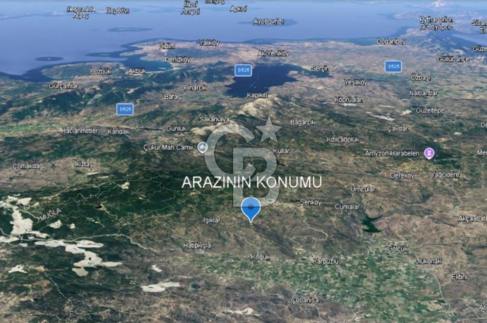 Aydın Karpuzlu 'da Satılık Kadastro Yola Cephe 1.546m² Zeytinlik