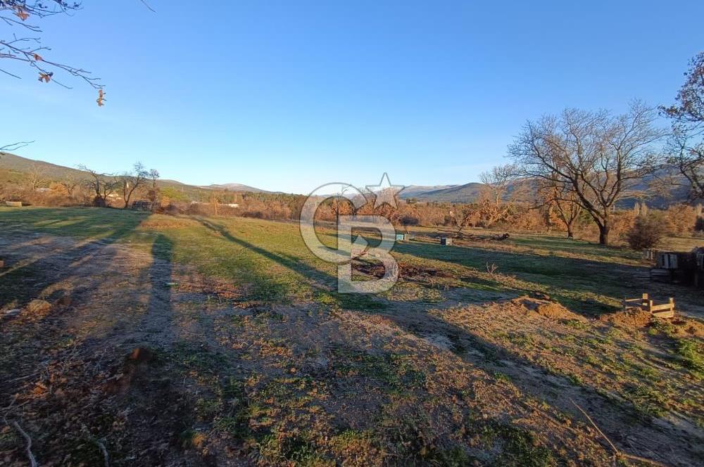 MUSELAND-ÇANAKKALE DE SATILIK İMARLI ARSA 
