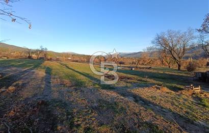 MUSELAND-ÇANAKKALE DE SATILIK İMARLI ARSA 