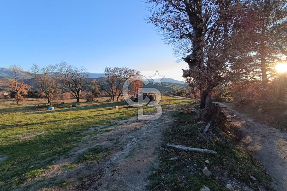 MUSELAND-ÇANAKKALE DE SATILIK İMARLI ARSA 