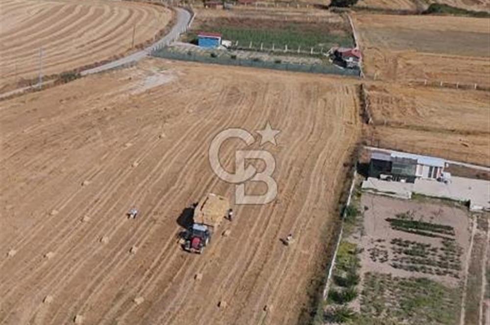 Mustafa Çağlayan'dan Silivri Büyük Çavuşlu'da Satılık Yatırımlık Tarla 