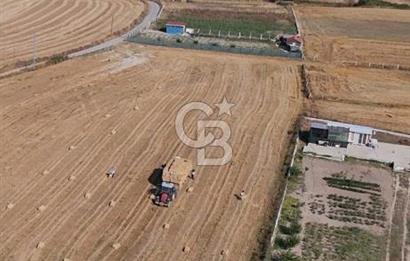 Mustafa Çağlayan'dan Silivri Büyük Çavuşlu'da Satılık Yatırımlık Tarla 