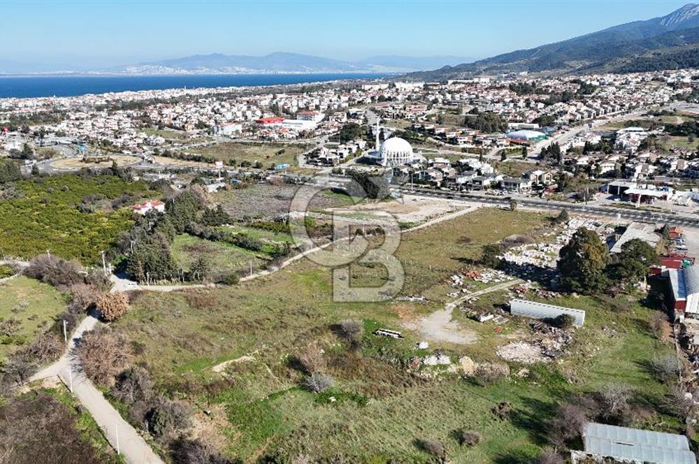 Güzelbahçe Kahramandere, Yola Cepheli, SATILIK 17.5 dönüm Arazi