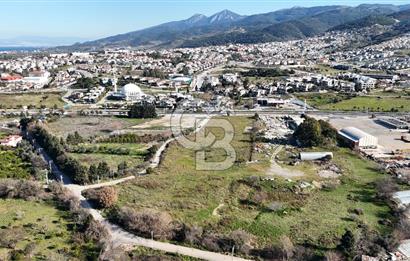 Güzelbahçe Kahramandere, Yola Cepheli, SATILIK 17.5 dönüm Arazi