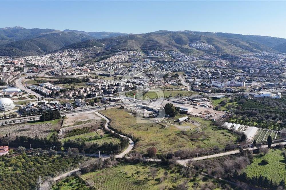 Güzelbahçe Kahramandere, Yola Cepheli, SATILIK 17.5 dönüm Arazi