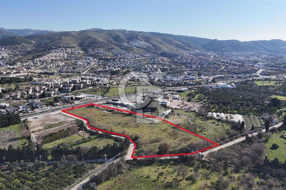 Güzelbahçe Kahramandere, Yola Cepheli, SATILIK 17.5 dönüm Arazi