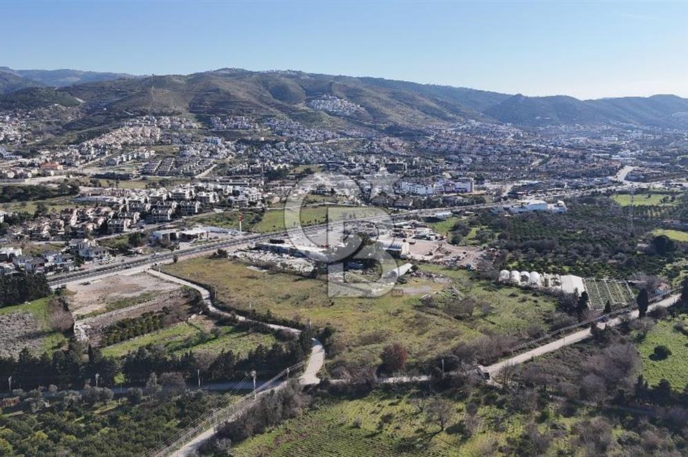 Güzelbahçe Kahramandere, Yola Cepheli, SATILIK 17.5 dönüm Arazi