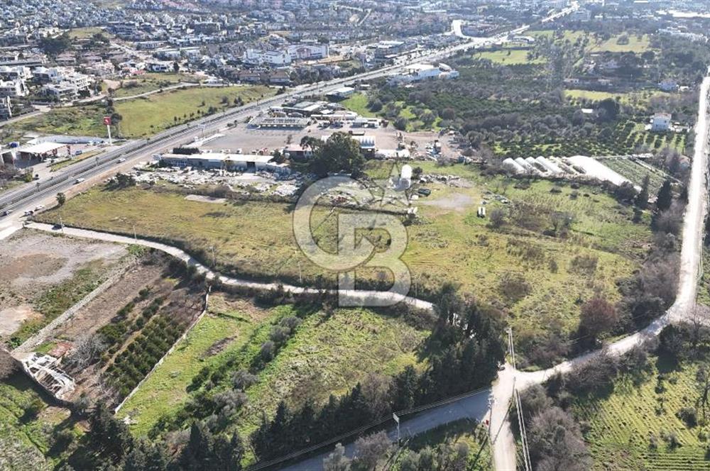 Güzelbahçe Kahramandere, Yola Cepheli, SATILIK 17.5 dönüm Arazi