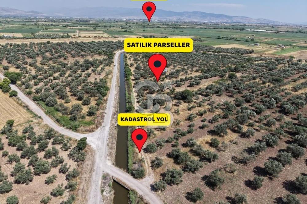 Menemen Türkelli'de Yatırımlık ve Hobi Amaçlı 265 m² Tarla