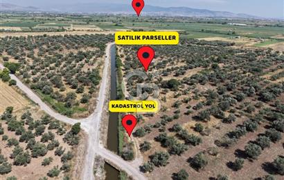 Menemen Türkelli'de Yatırımlık ve Hobi Amaçlı 265 m² Tarla