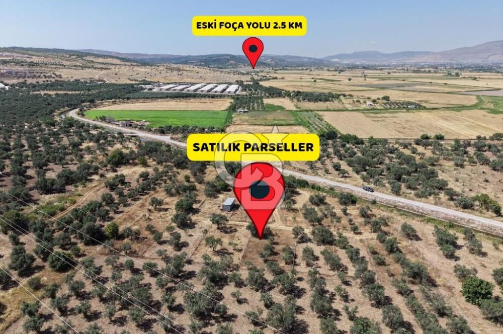 Menemen Türkelli'de Yatırımlık ve Hobi Amaçlı 265 m² Tarla
