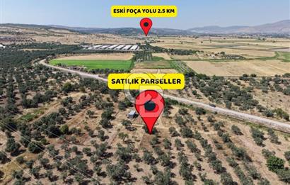 Menemen Türkelli'de Yatırımlık ve Hobi Amaçlı 265 m² Tarla