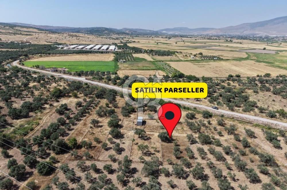 Menemen Türkelli'de Yatırımlık ve Hobi Amaçlı 265 m² Tarla