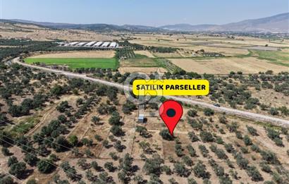 Menemen Türkelli'de Yatırımlık ve Hobi Amaçlı 265 m² Tarla