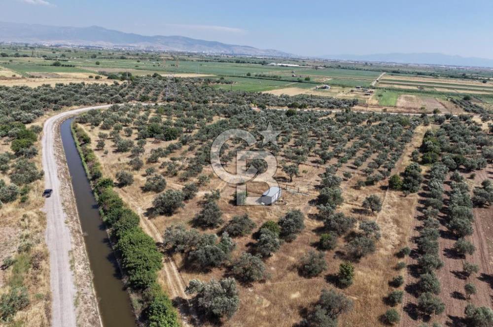 Menemen Türkelli'de Yatırımlık ve Hobi Amaçlı 265 m² Tarla