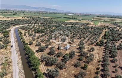 Menemen Türkelli'de Yatırımlık ve Hobi Amaçlı 265 m² Tarla