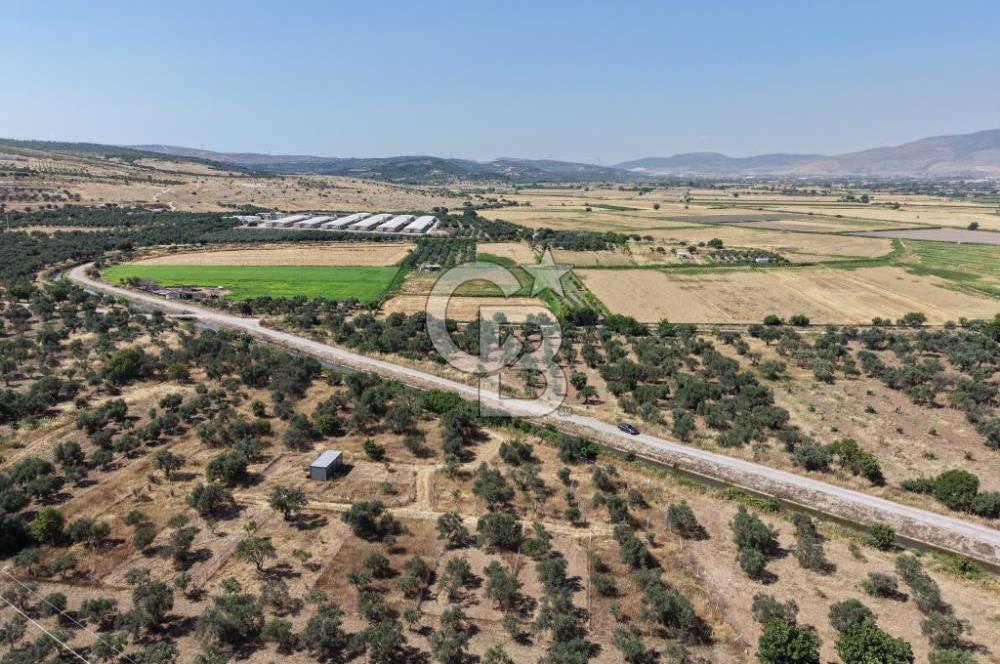 Menemen Türkelli'de Yatırımlık ve Hobi Amaçlı 265 m² Tarla