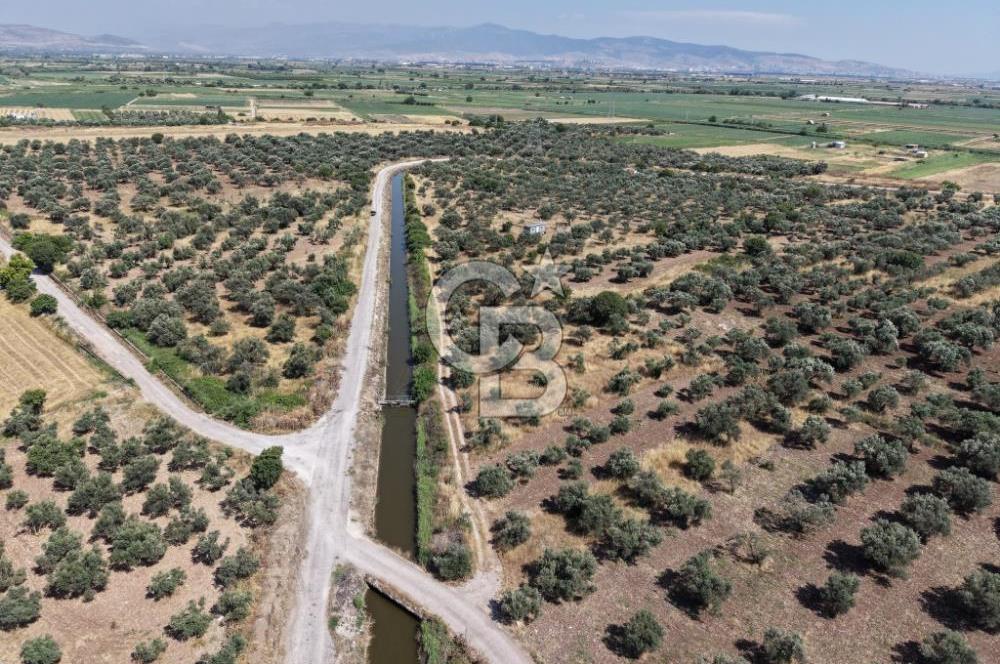 Menemen Türkelli'de Yatırımlık ve Hobi Amaçlı 265 m² Tarla
