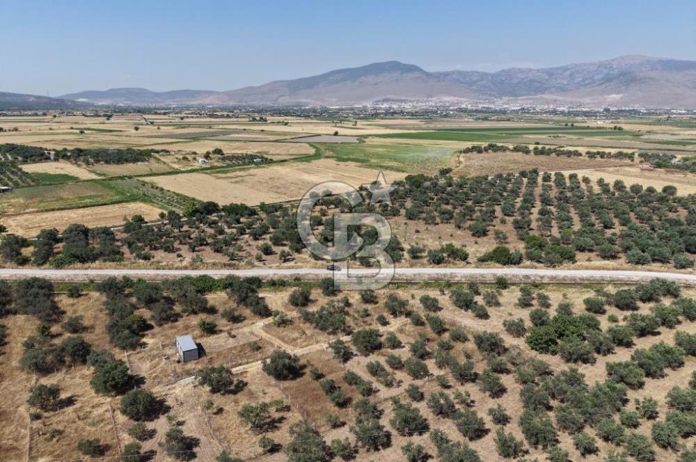 Menemen Türkelli'de Yatırımlık ve Hobi Amaçlı 265 m² Tarla