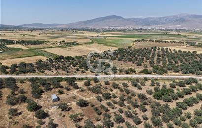 Menemen Türkelli'de Yatırımlık ve Hobi Amaçlı 265 m² Tarla